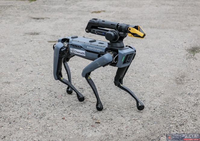 Robopies odwiedził i ćwiczył z warszawskimi policjantami