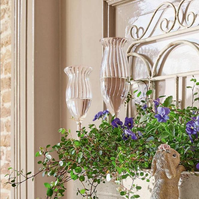 Kule nawadniające do kwiatów i inne sposoby na nawadnianie roślin podczas urlopu 