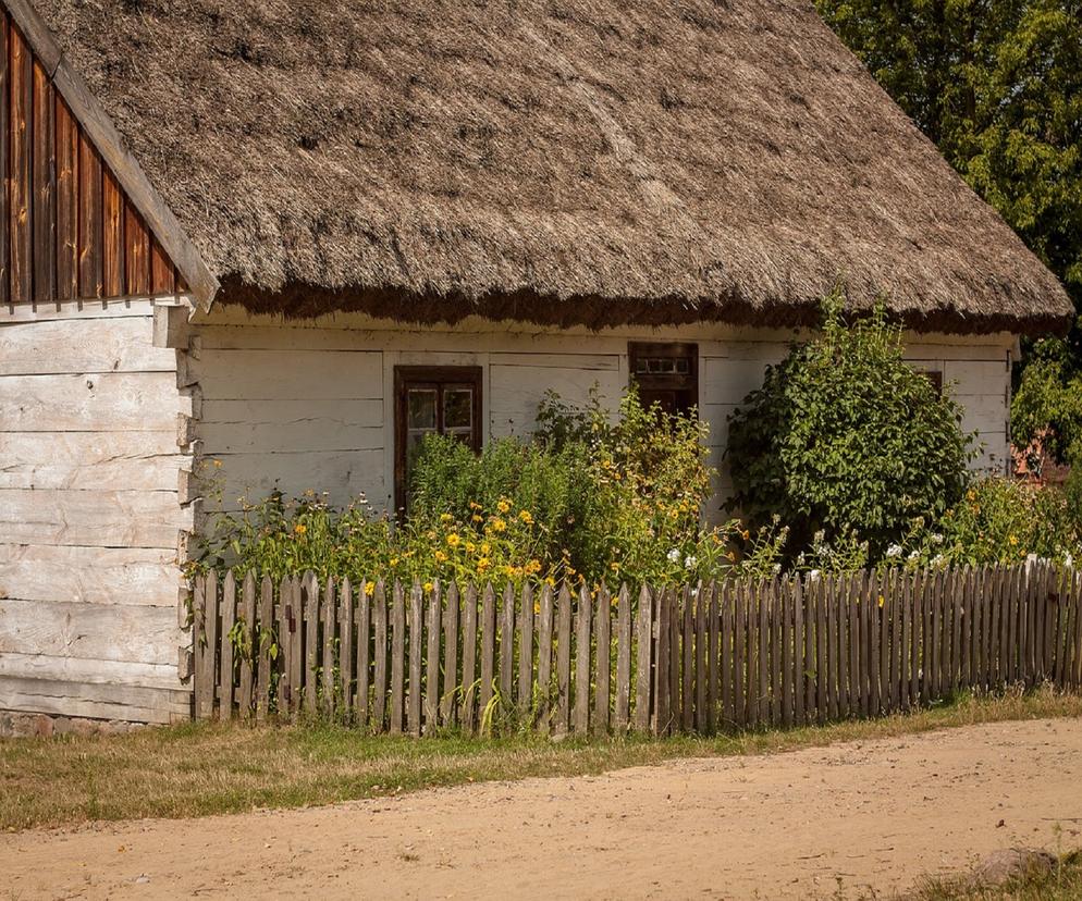 Najlepsze agroturystyki na Podlasiu. Gdzie jest najtaniej? Zobacz 10 ciekawych atrakcji