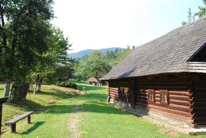 Bardejów. Słowacka Krynica Zdrój z listy UNESCO - co tu zwiedzić? Atrakcje, zdrój, dojazd