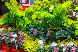 Targi ZIELEŃ TO ŻYCIE 2025