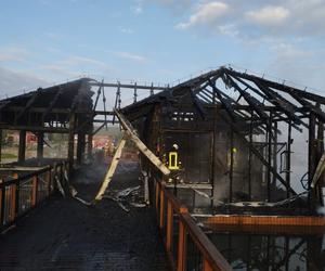 Pożar Zoo Safari w Borysewie! Kilkadziesiąt zwierząt zginęło