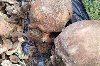 Żytna: Podczas zabawy w ogródku chłopiec wykopał ludzkie szczątki. Zobaczyli CZASZKI!