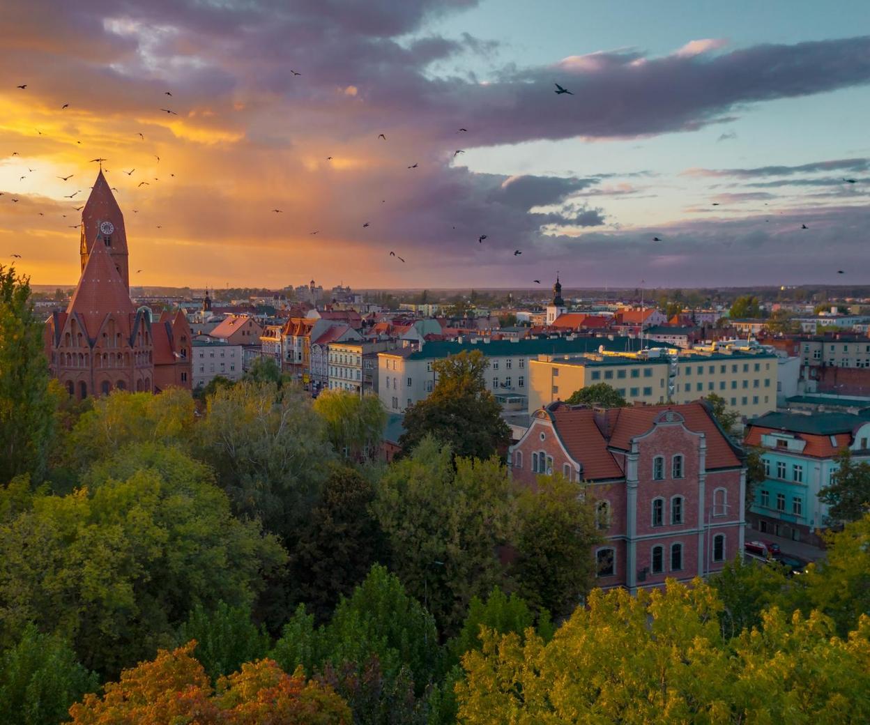 Wybory Samorządowe 2024: Kto Został Prezydentem Ostrowa Wielkopolskiego ...