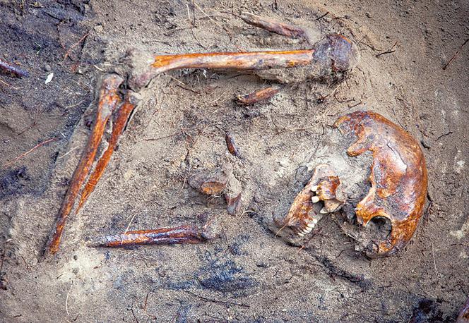 Archeolodzy muszą wrócić na Łączkę