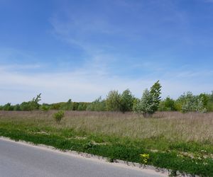 Poza budową osiedla na początku, tak wygląda większość otoczenia ulicy 