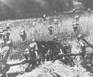 bitwa na Łuku Kurskim