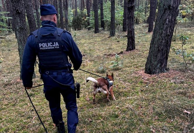 Policyjna akcja zakończyła się sukcesem