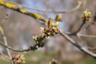 Słoneczny pierwszy dzień wiosny w Parku Ludowym w Lublinie