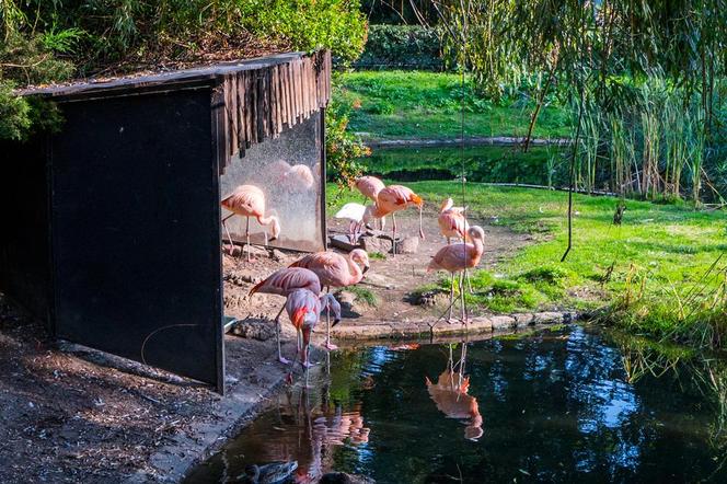 Miejski Ogród Zoologiczny w Warszawie