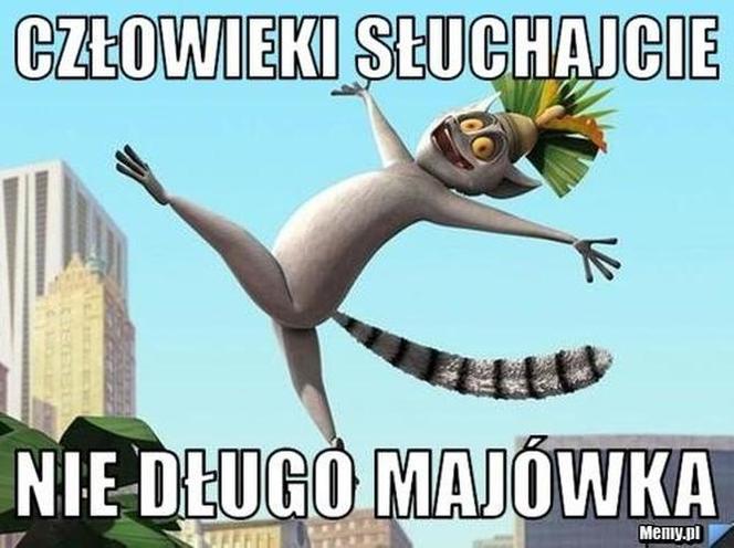 Majówka 2023 zbliża się wielkimi krokami! Zobacz najlepsze memy!