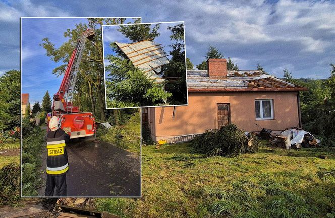 Dolnośląskie. Burze wyrządziły wiele szkód w regionie. Tak wyglądają okolice Jawora [ZDJĘCIA].