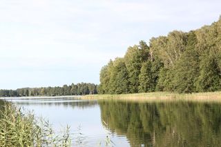 Gdzie na długi weekend sierpniowy? Te miejsca na Suwalszczyźnie i Podlasiu warto odwiedzić