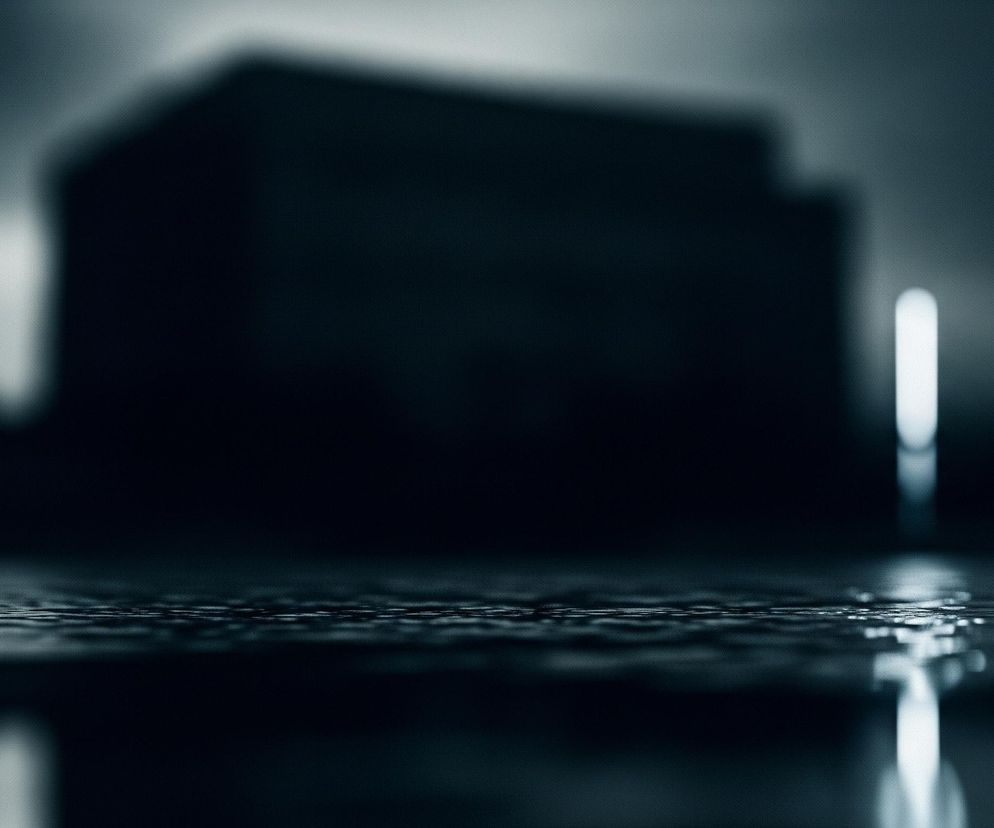 Dożywocie dla Doriana S. Sąd Apelacyjny uchyli wyrok?