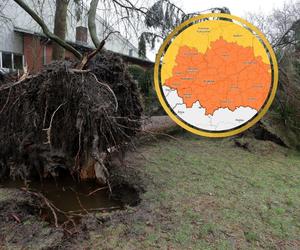 Ostrzeżenia drugiego stopnia przed silnym wiatrem. Będzie bardzo niebezpiecznie!