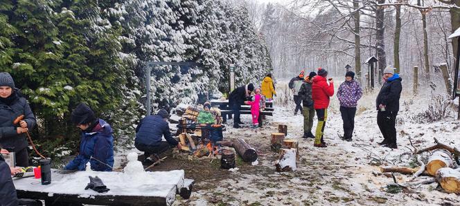 Już w weekend kolejne choinkobranie w Będzinie Grodźcu