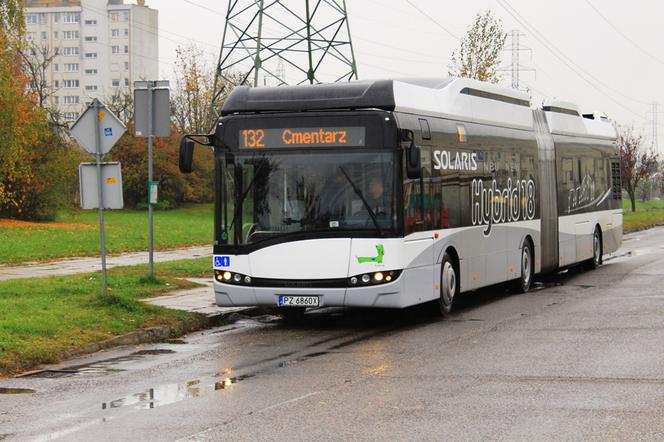 Miejski Zakład Komunikacji w Gorzowie Wielkopolskim