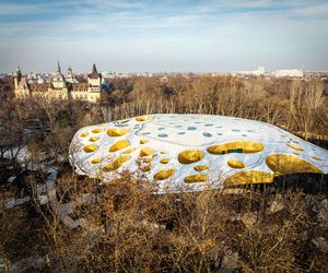 Kształt dachu tego budynku inspirowany był falą dźwiękową