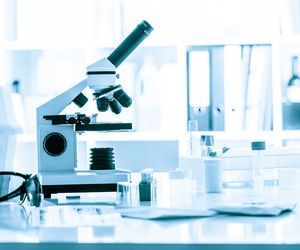 Komórka - budowa i funkcje. Jak działa komórka?