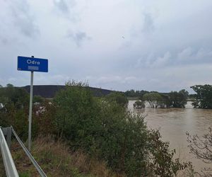 Polder Buków zagrożeniem dla powiatu raciborskiego