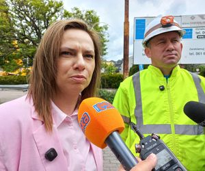 Wielki dźwig stanął przy pływalni Akwawit w Lesznie. Rusza ostatni etap rozbiórki 