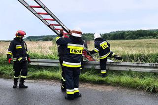 Wypadek w powiecie strzelińskim: Volkswagen wypadł z drogi i wpadł do rzeki