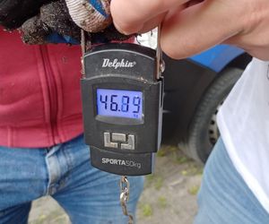 Sum gigant Rafała Kopra