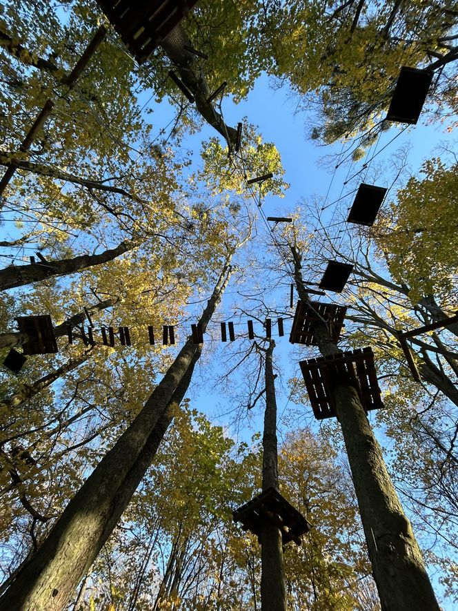 Park Linowy Barbarka pod Toruniem