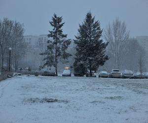 Totalny atak zimy nadciąga do Warszawy. Nawet 15 cm śniegu i silne wichury. Przeszywające zimno