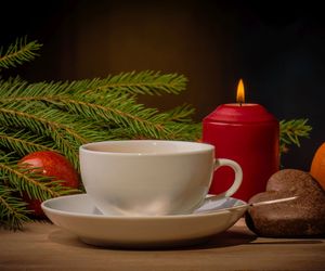 Herbata świerkowa - właściwości i zastosowanie. Jak przyrządzić herbatę ze świerku?