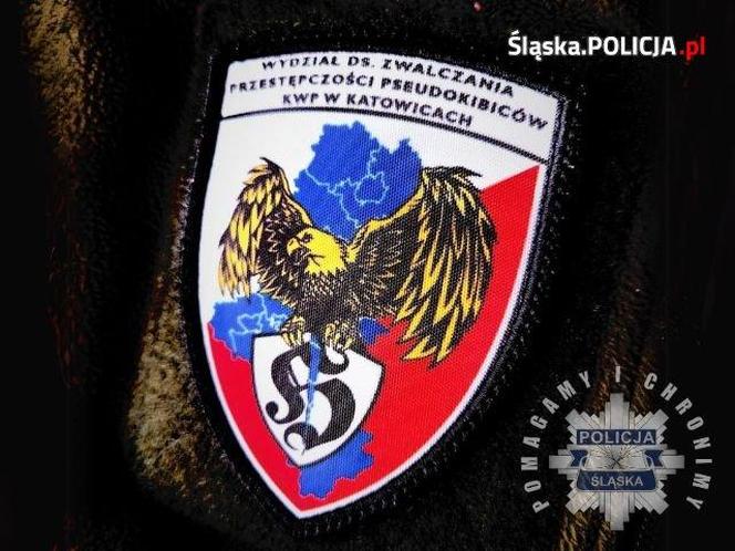 Gang kibiców zatrzymany przez policję