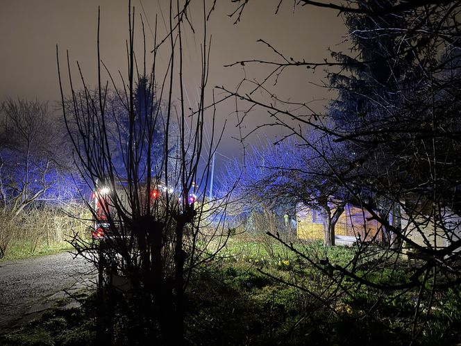Tragedia na terenie ogródków działkowych. Altanka stanęła w ogniu. W srodku znaleźli zwęglone ciało