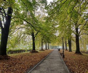 Zamojski Park jesienią