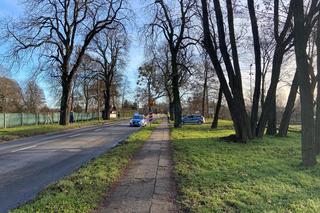 Wypadek w szczecińskim Dąbiu. Ciężarówka potrąciła mężczyznę!