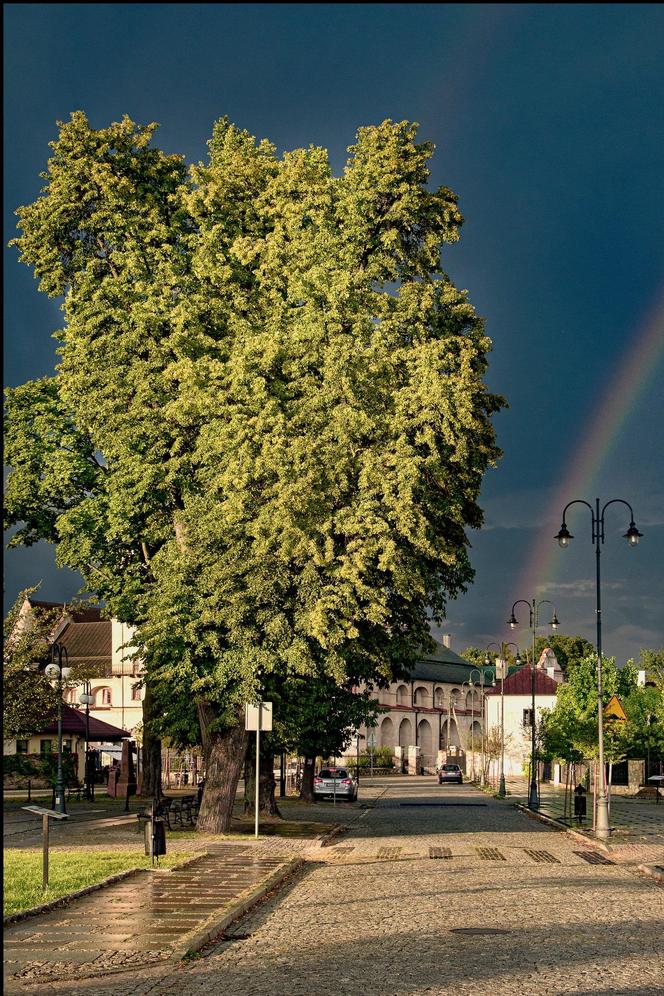 Burmistrza Wąchocka Jarosława Sameli - pasja fotografowanie