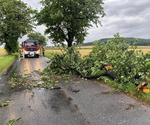 Burze i nawałnice nad Podkarpaciem. Strażacy interweniowali prawie 500 razy [ZDJĘCIA]