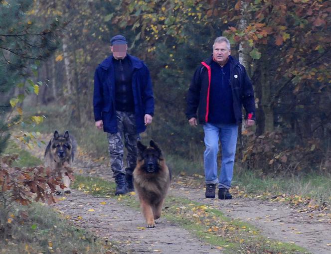 PIES KWAŚNIEWSKIEGO NA KROPLÓWCE.