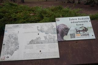 Zoo w Poznaniu zimą