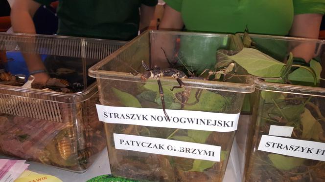 Bydgoszcz na targach turystycznych w Poznaniu