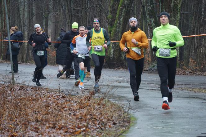 City Trail w Bydgoszczy. Miłośnicy biegania opanowali Myślęcinek [ZDJĘCIA]