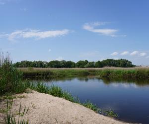 Narwiański Park Narodowy