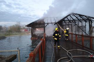 Pożar Zoo Safari w Borysewie! Kilkadziesiąt zwierząt zginęło