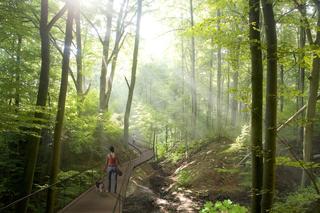 Uzdrowisko w Ustroniu do zmiany. Tak wygląda projekt rozbudowy słynnych piramid