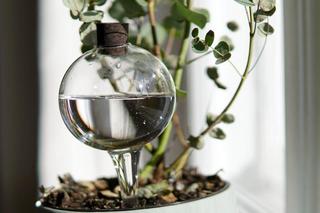 Nawadniacze do kwiatów