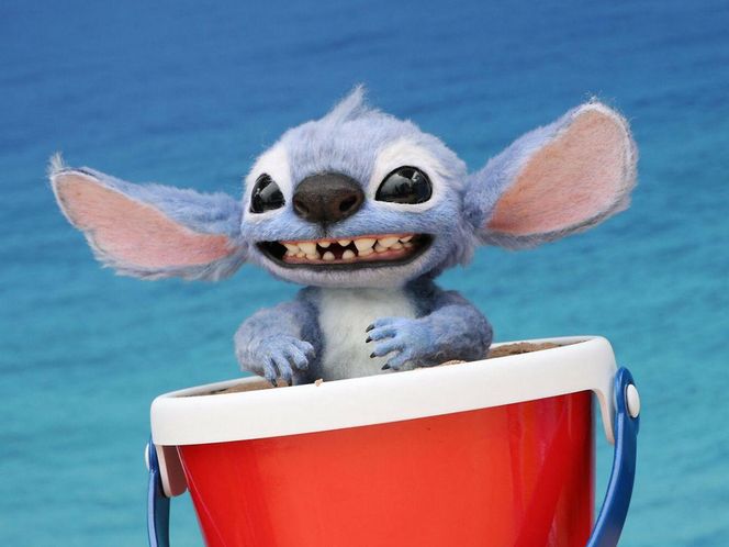Stitch przejął Pepco w Polsce!
