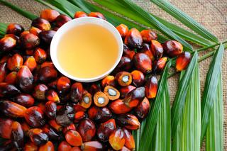Olej palmowy w mleku - czy jest szkodliwy dla niemowlęcia?