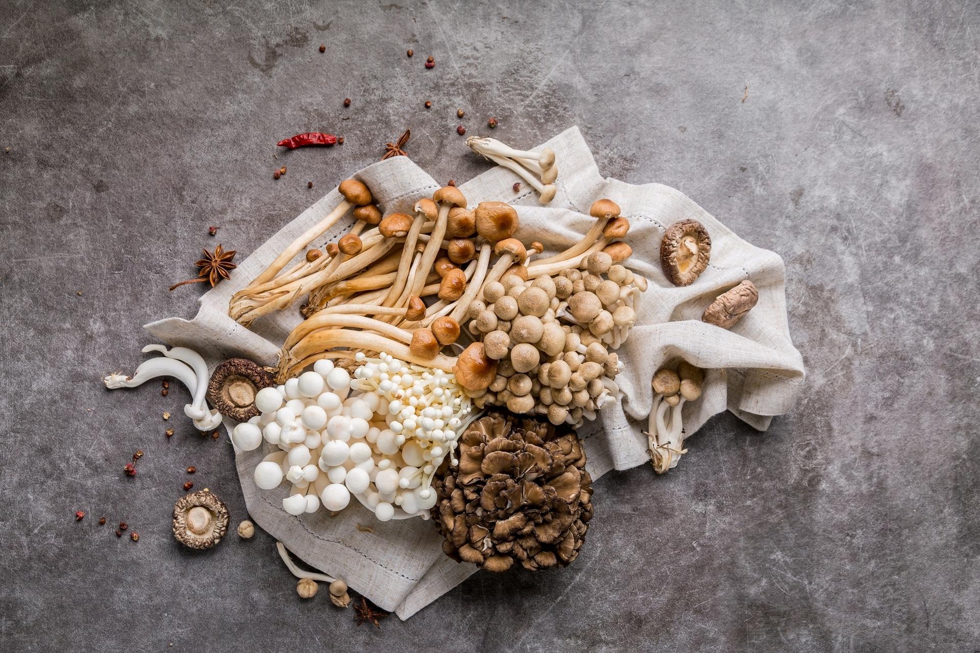 Grzyby maitake, reishi i shitake. Jakie mają właściwości? Beszamel.pl