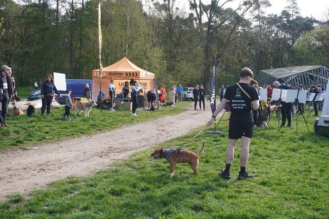 Dogtrekking w Poznaniu