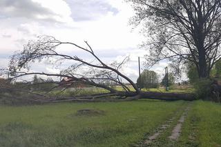 3 Skutki nawałnicy w woj. łódzkim /okolice Giemzowa