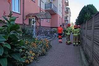 Niewiarygodne! 22-latek skoczył z drugiego piętra i uciekł do mieszkania. Co się stało w Siedlcach?